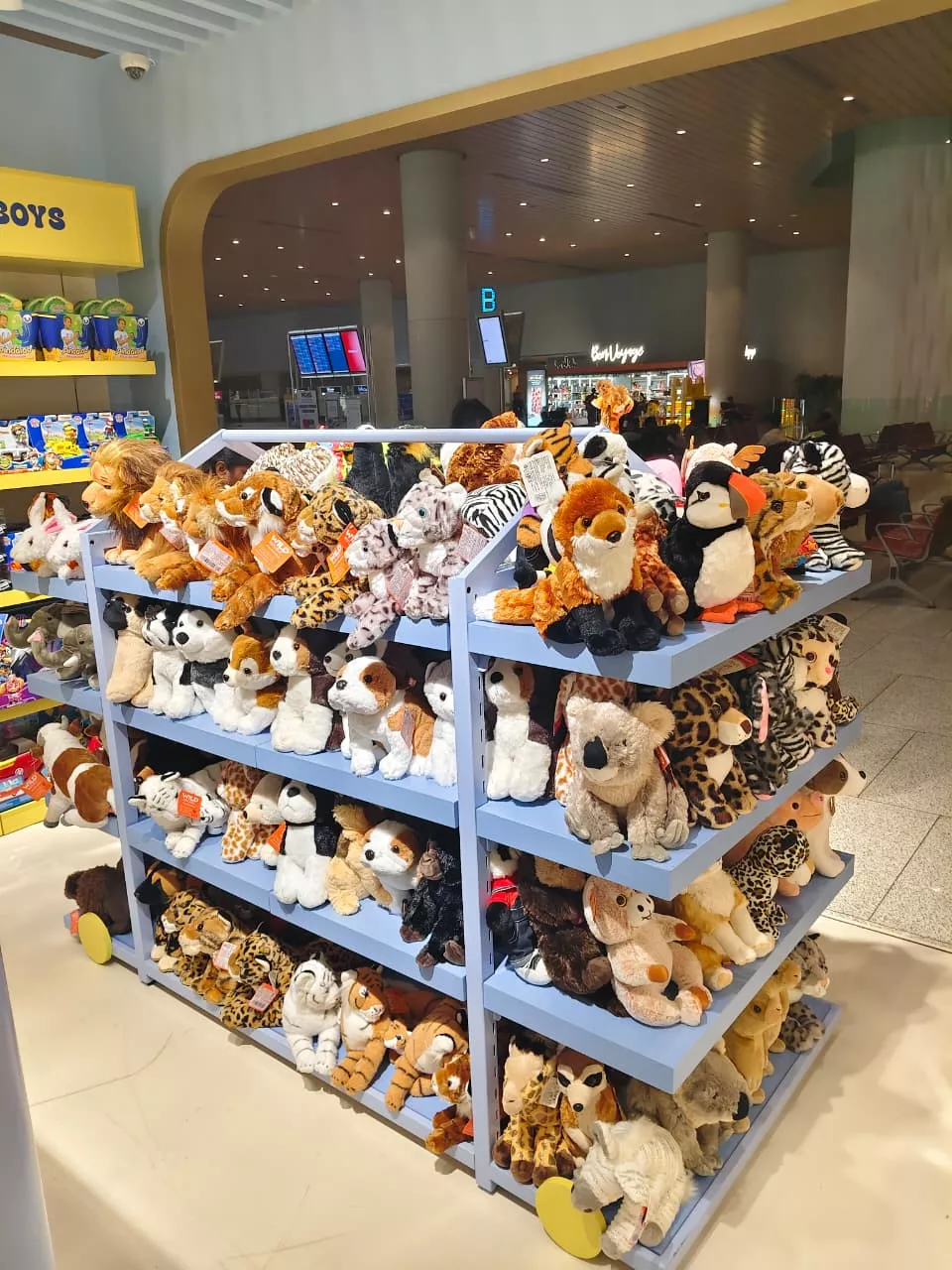 kids stores and toy shops